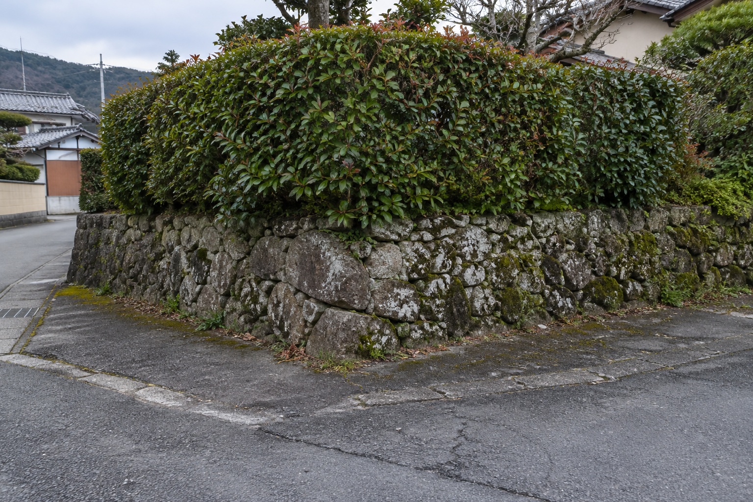霧島秀一撮影。道路に面した石垣と、その上の生垣。足元の舗装に低い段差と継ぎ目が見える。