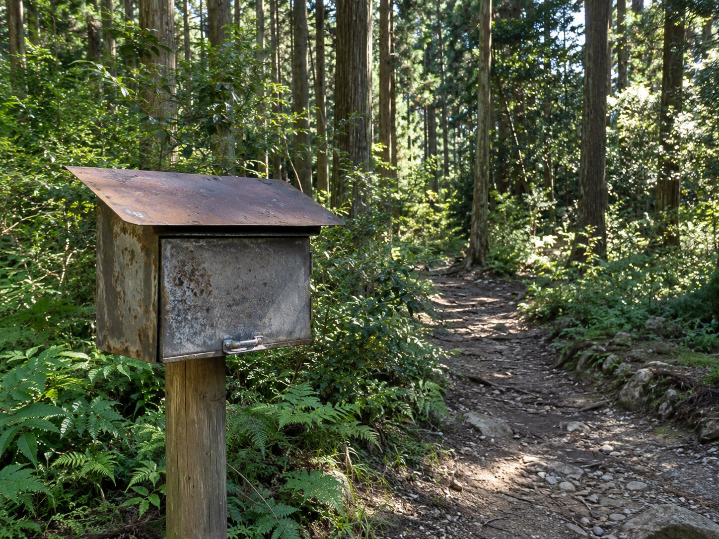 鳴沢岳の北尾根の登山届に関する奇妙な記録