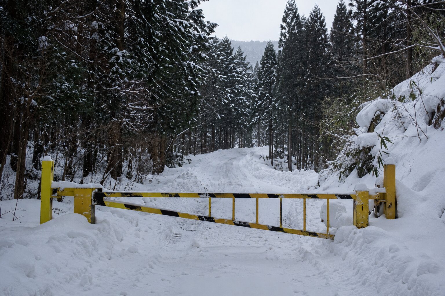 旧鳴沢林道の除雪に関する奇妙な記録