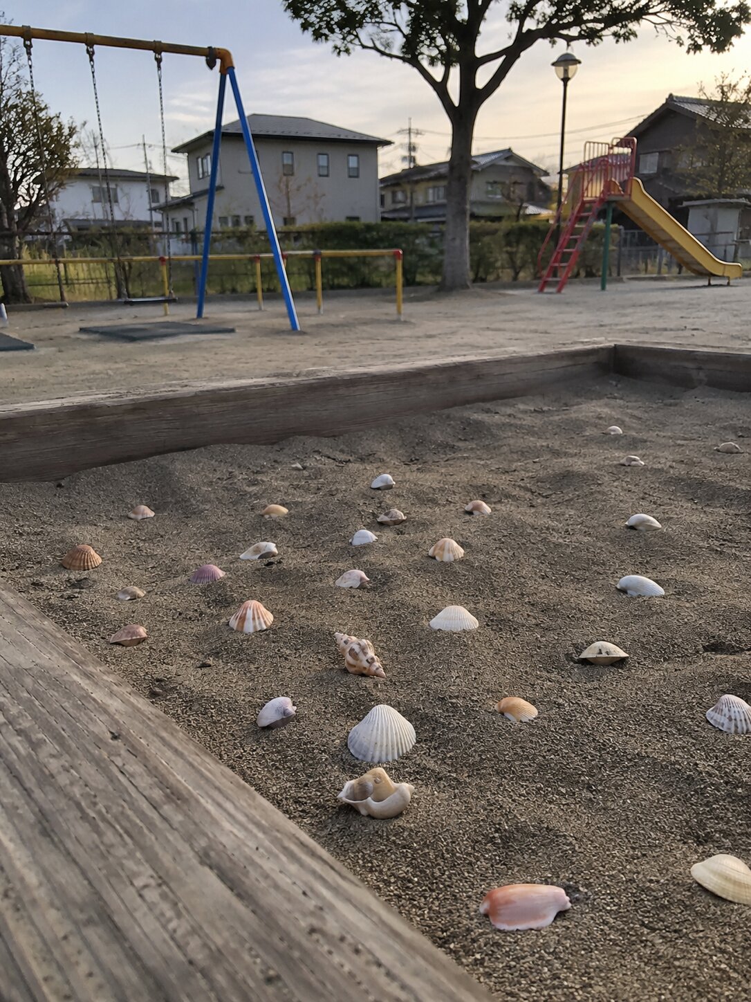 中央公園の砂場の貝殻に関する奇妙な記録