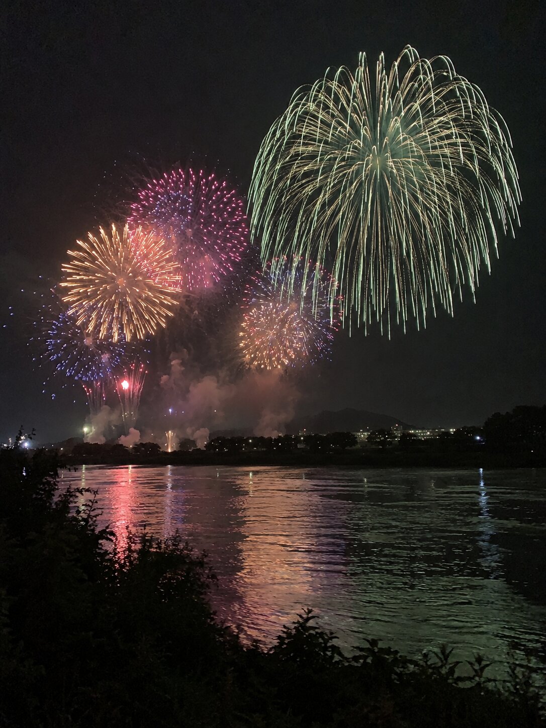 柳瀬川花火大会の緑の柳に関する奇妙な記録