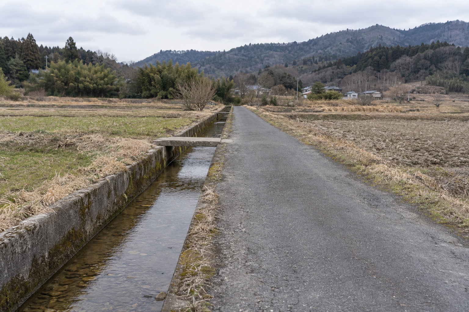 南條市の農道の用水路に関する奇妙な記録