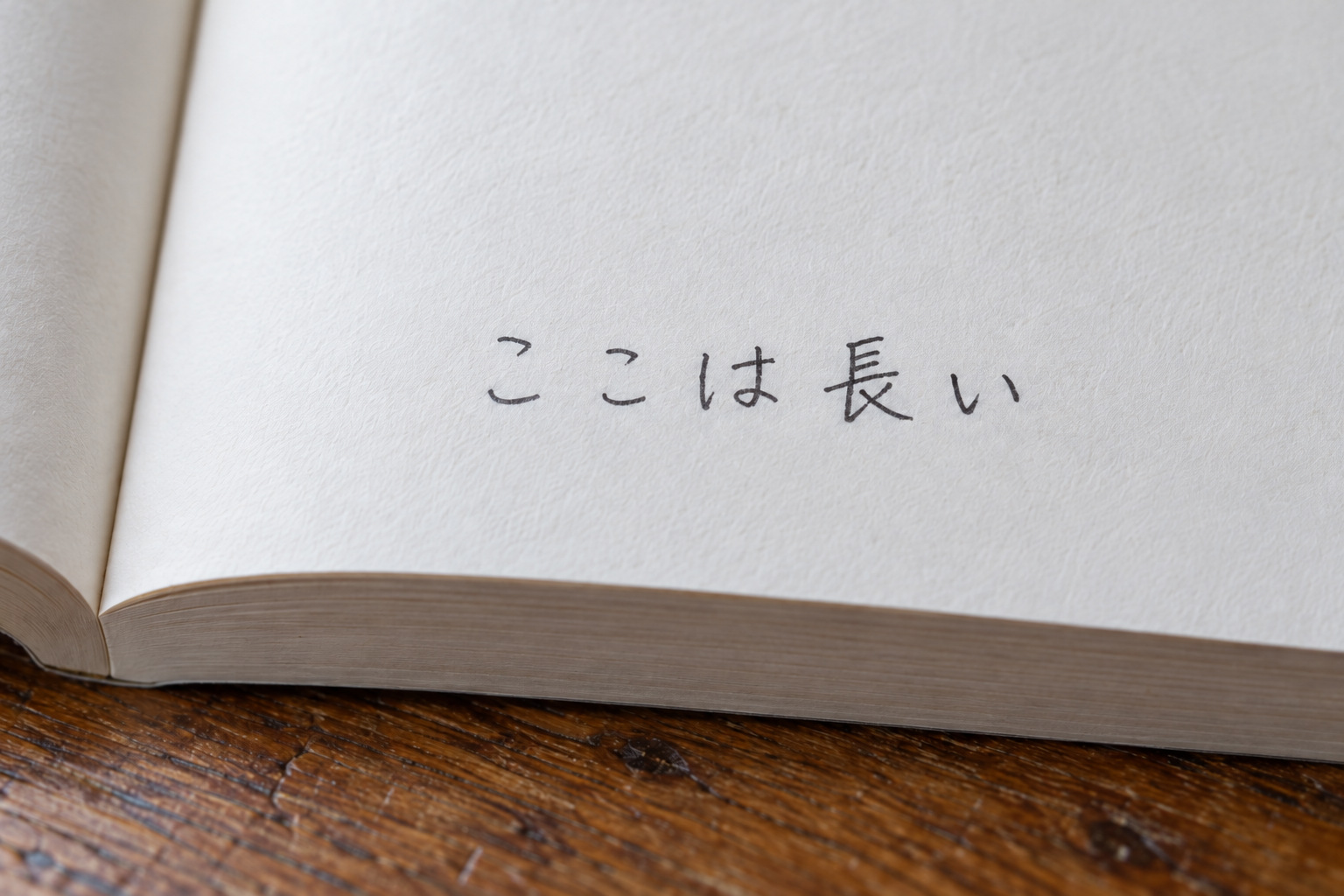 開いた本の下の余白に、黒い横書きで「ここは長い」の5文字がある。霧島秀一撮影。
