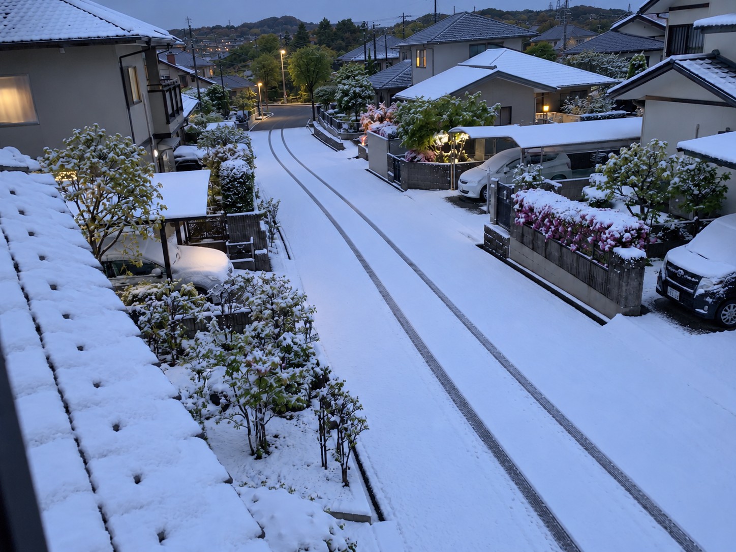 桜台三丁目の雪の轍に関する奇妙な記録